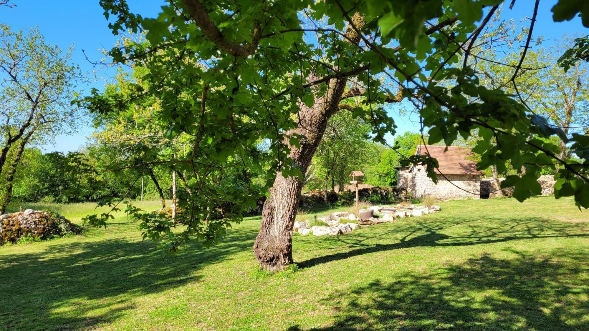 Les Enclos Secrets Livernon ภายนอก รูปภาพ